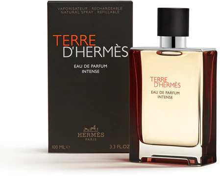 Hermes Terre D'Hermès  Edpv Intense 100ml — eShopping Salerno