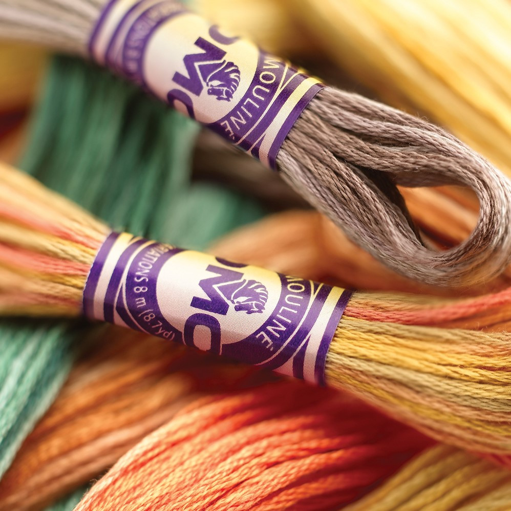 Dmc Moulinè Variation art.417 Matassine Multicolor — eShopping Salerno
